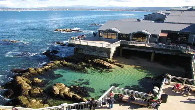 where to park monterey bay aquarium