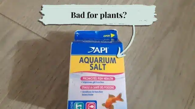 will aquarium salt kill plants