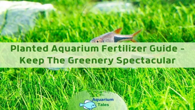 how often to dose aquarium fertilizer