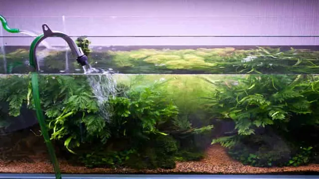 how often to replace water in aquarium
