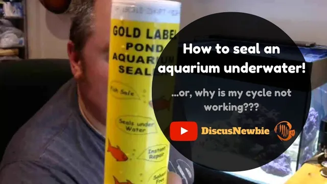 How Often to Reseal Aquarium: The Best Guide to Keeping Your Tank Safe