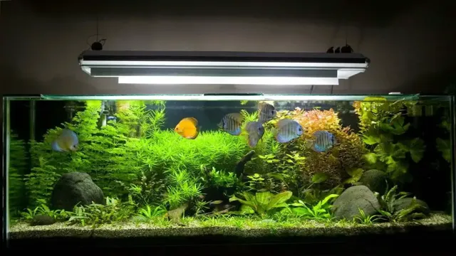 how often to run uv light in 55 ga aquarium