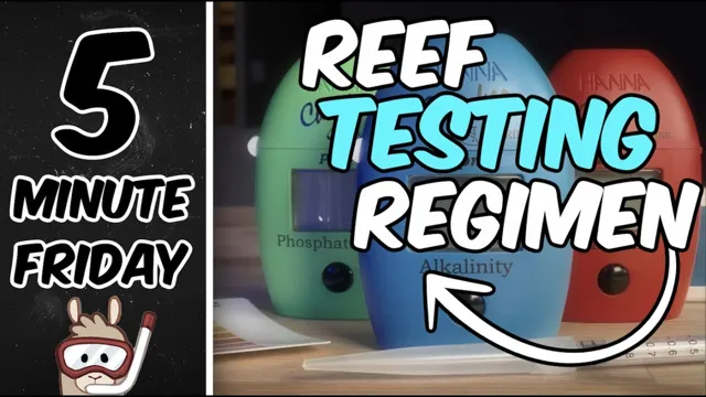 How Often to Test Water in a Reef Aquarium: A Complete Guide