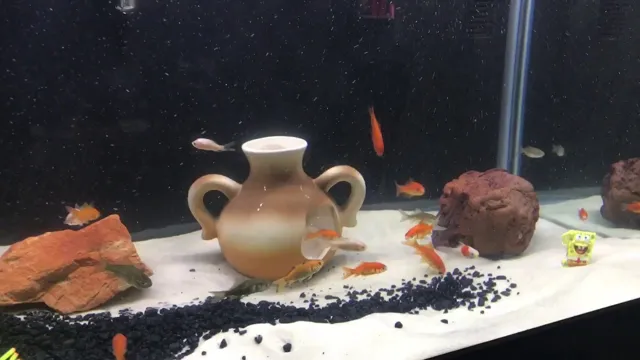 how often to to water changes when cycling an aquarium
