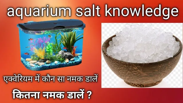 how often to use aquarium salt