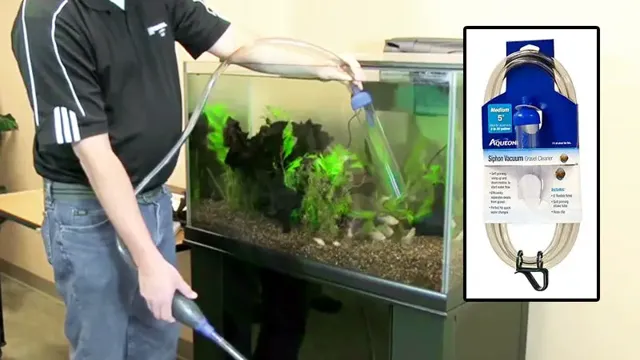 How Often to Vacuum Gravel in Aquarium: A Comprehensive Guide