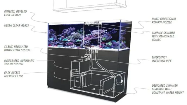 How Often Top Up Sump Aquarium: Everything You Need to Know