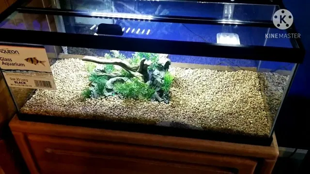 How often water change 150 gallon aquarium to keep your fish healthy