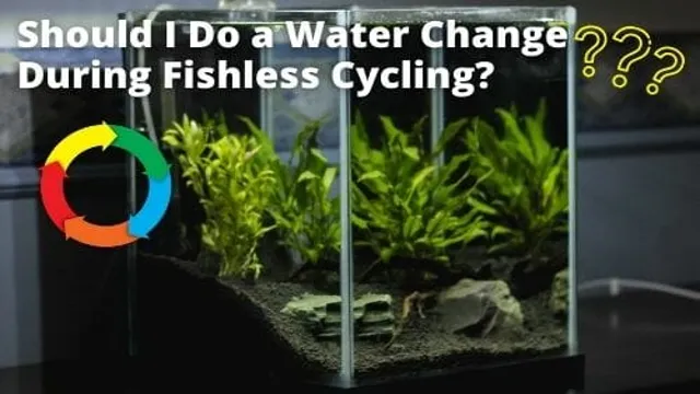 How Often Water Change Cycling Aquarium: A Complete Guide for Fish…