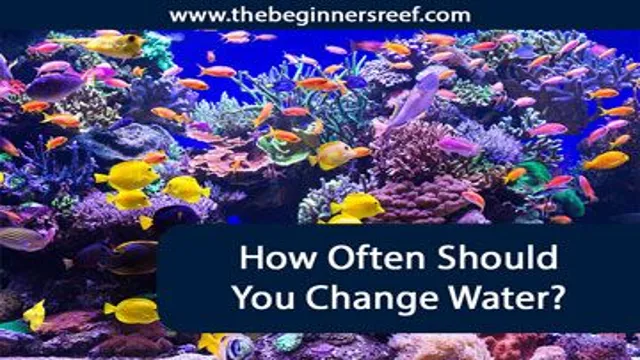 how often water change saltwater aquarium