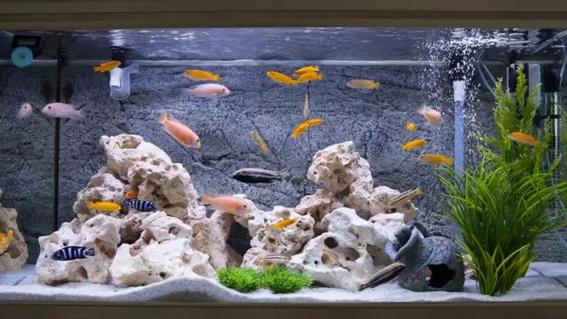 how often water change tropical aquarium