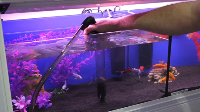 How Often Should You Change Water in a Tropical Aquarium: Expert…