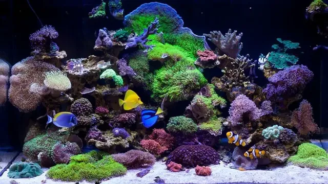 how often will i need my saltwater aquarium maintained