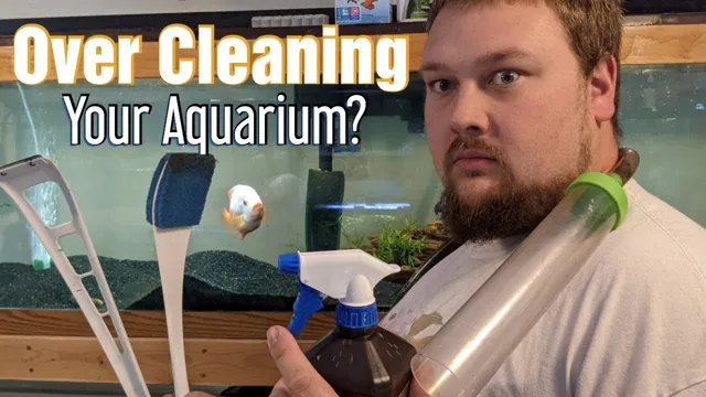 how often wipe aquarium