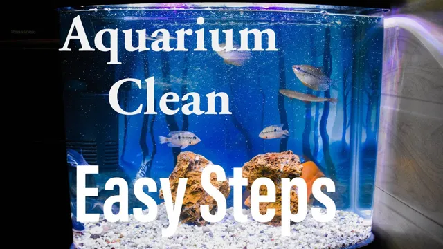 How Often Should You Wipe Your Aquarium? A Complete Guide.