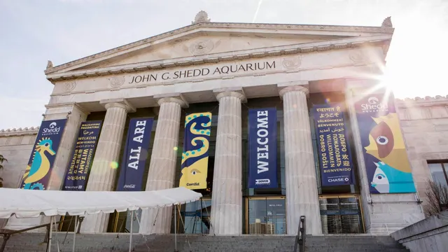 How Old is Shedd Aquarium: A Look at the Fascinating History