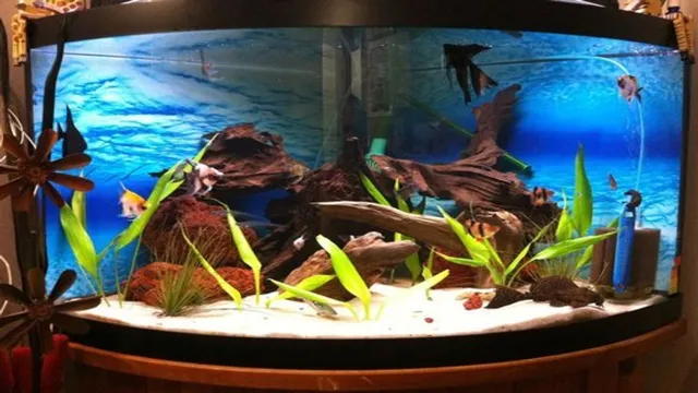 How Old Is Your Aquarium Tank? Discover the Lifespan of Your Fish Tank and Keep It Healthy