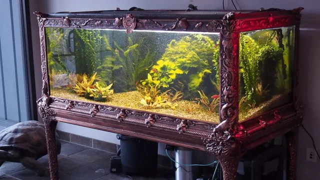 How Old Is Your Aquarium? Tips to Determine the Age of Your Fish Tank