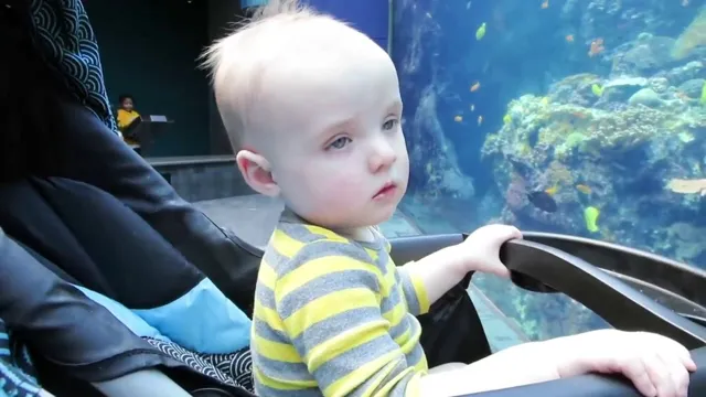 how old to take baby to aquarium