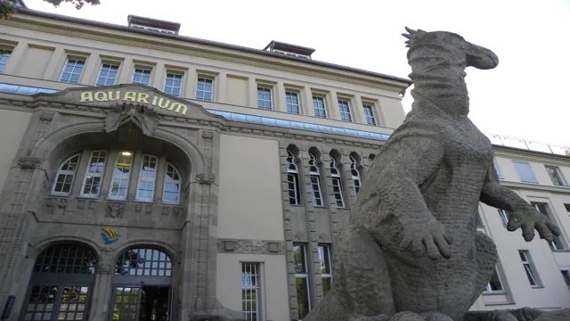 How old was the Berlin Aquarium? Exploring the Fascinating History of One of the Oldest Aquariums in Europe.