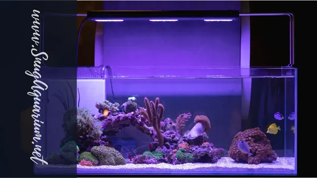 how ong to leave aquarium light on planted