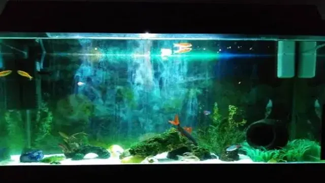 how ong to leave aquarium light on planted