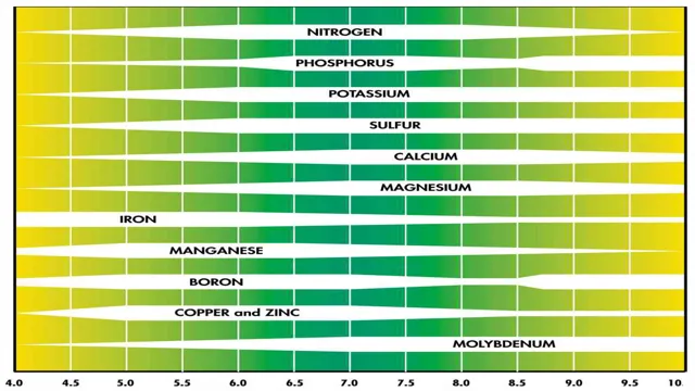 How pH Affects Plant Growth in Planted Aquariums: Tips for Optimal Aquascaping pH Levels