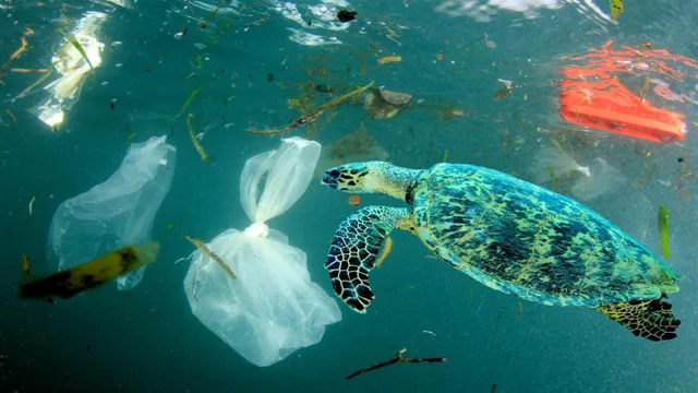 How Plastic Affects the Ocean Aquarium: The Devastating Impact on Marine Life