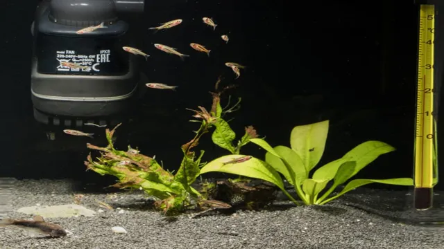 How Powerful Does Your Aquarium Filter Need to Be? A Beginner’s Guide to Optimum Filtration.