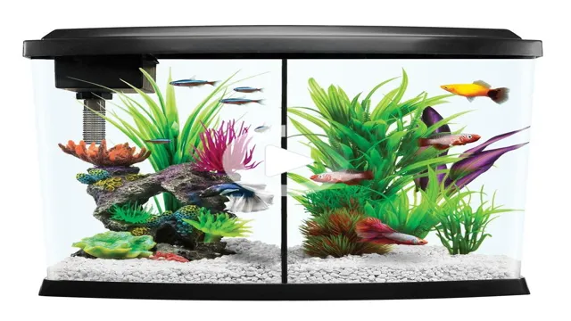 How to Put on Plastic Back to Perfecto Aquarium Top: A Step-by-Step Guide