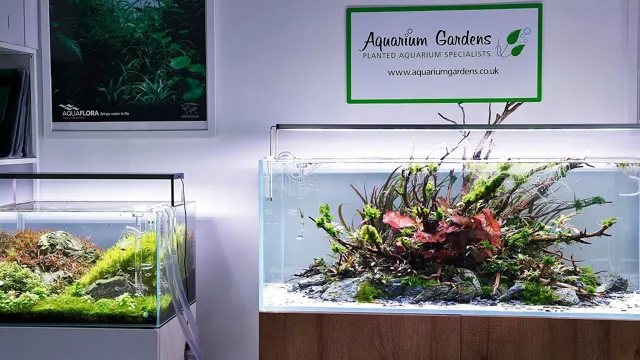how quickly do aquarium gardens deliver