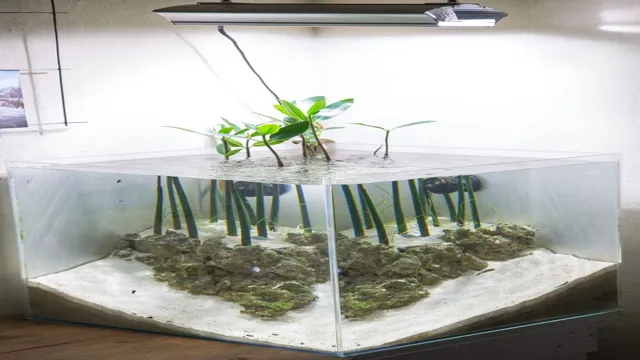 How to Turn an Aquarium into a Side Opening Vivarium and Create a Stunning Reptile Habitat