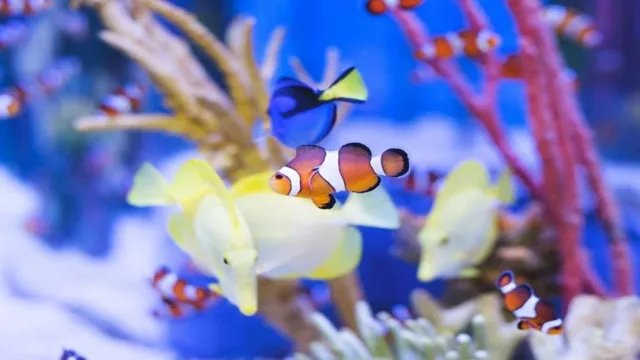 how safe to run aquarium filter on vacation