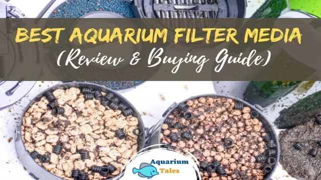 how safe to run aquarium filter on vacation