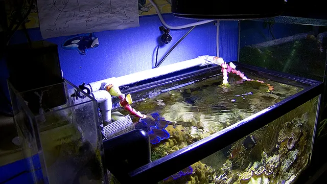 how set up an electronic float system aquarium