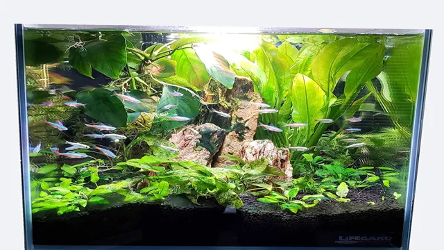 How Shatterproof is a Glass Aquarium? Exploring Durability of Glass in Aquatic Environments