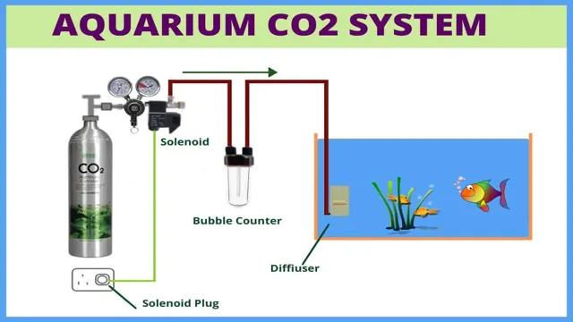 How Should a CO2 System for an Aquarium Be Set Up and Maintained? – Beginner’s Guide