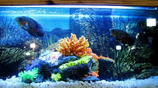 How Should I Clean My Aquarium Filter: A Step-by-Step Guide for Crystal Clear Water