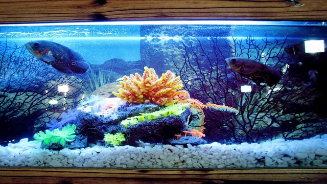 how should i decorate my aquarium