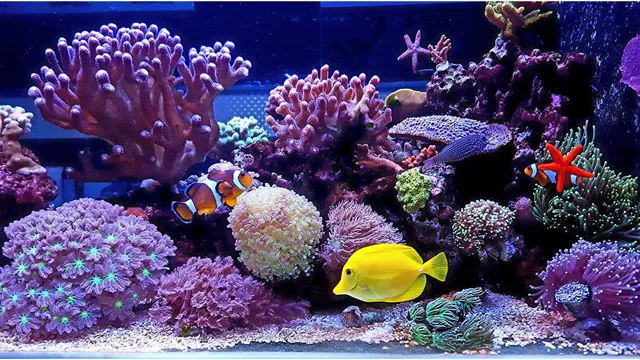 how small can a saltwater aquarium be