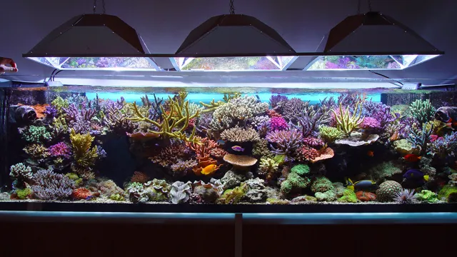 how small can a saltwater aquarium be