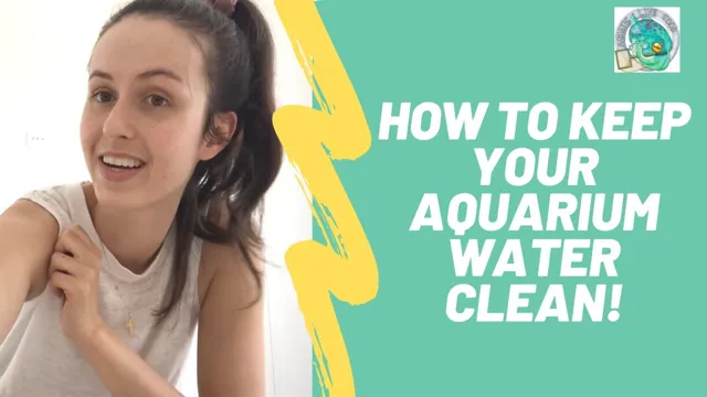 how soon should you clean a nre aquarium
