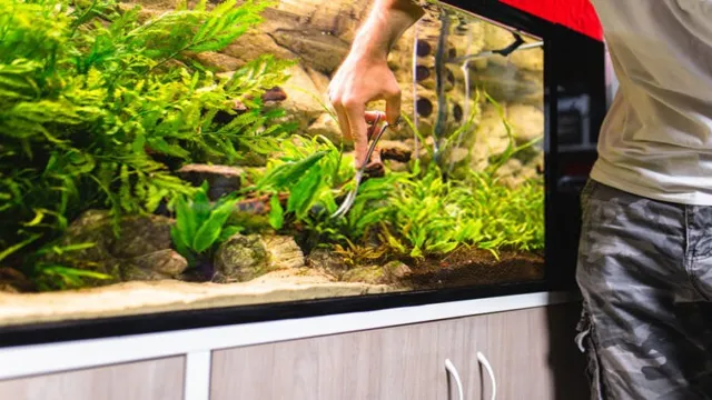 How Soon Should You Clean a New Aquarium? Tips and Guidelines.