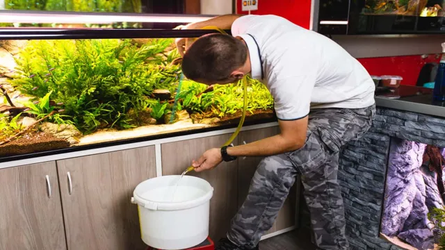 How Soon to Change Water in a New Aquarium: A Beginner’s Guide to Proper Maintenance