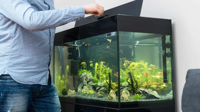 how soon to feed new fish added to new aquarium