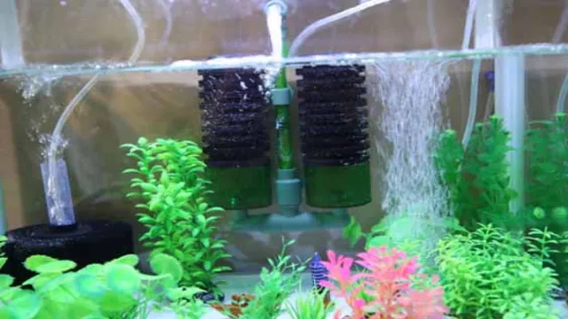 How Sponge Filter Works in Aquarium: The Ultimate Guide for Beginners