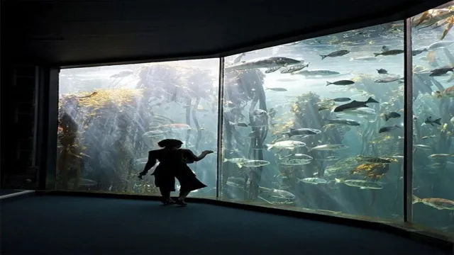 How Strong is Aquarium Glass? Exploring the Durability of Fish Tank Glass