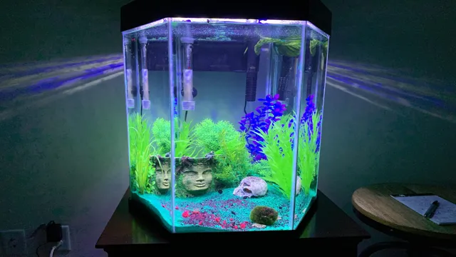 how tall are 20 gallon long aquarium