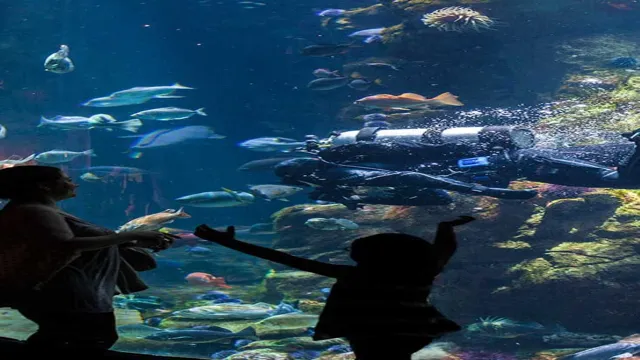 how thick are aquarium walls