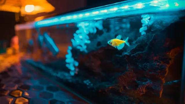 how thick glass for aquarium